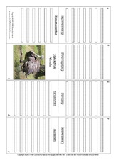 Faltbuch-Nandu.pdf